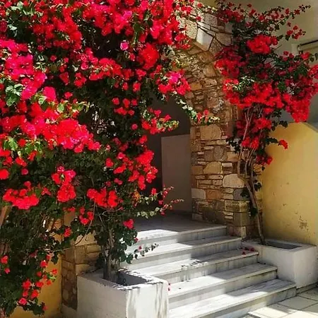Marine Luxury View Appartement *